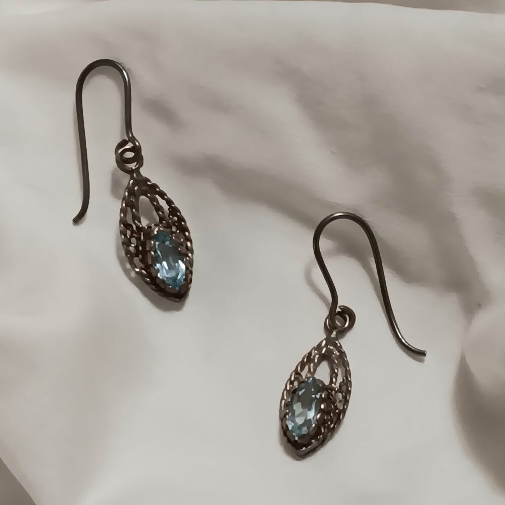 Blue Dangle Earrings